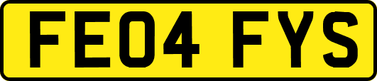 FE04FYS