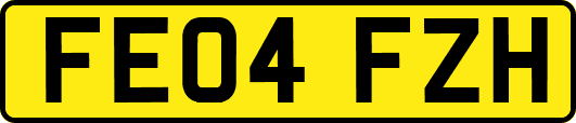 FE04FZH