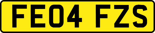 FE04FZS