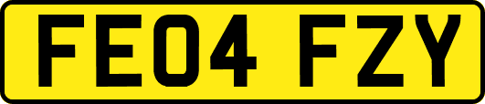 FE04FZY
