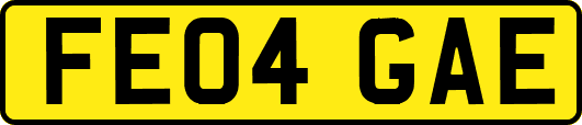 FE04GAE