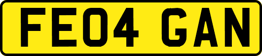 FE04GAN