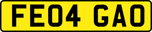 FE04GAO