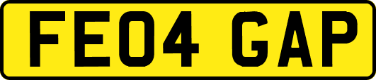 FE04GAP