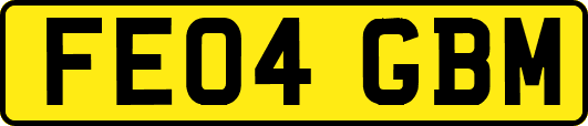 FE04GBM