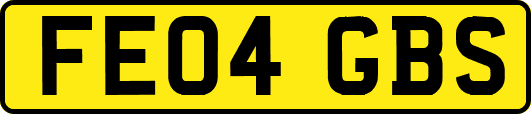 FE04GBS