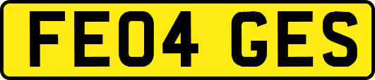 FE04GES