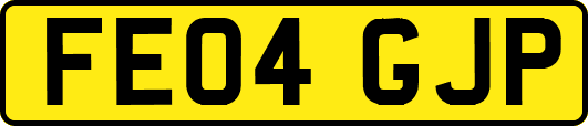 FE04GJP