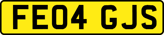 FE04GJS