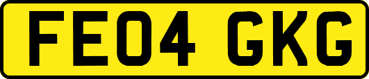 FE04GKG