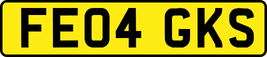 FE04GKS