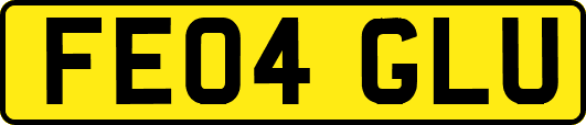 FE04GLU