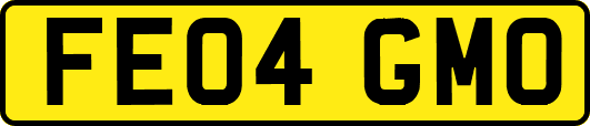 FE04GMO