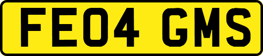 FE04GMS
