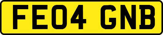 FE04GNB