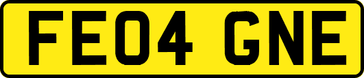 FE04GNE