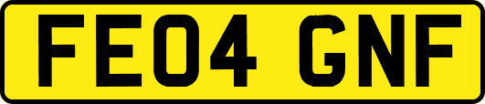 FE04GNF