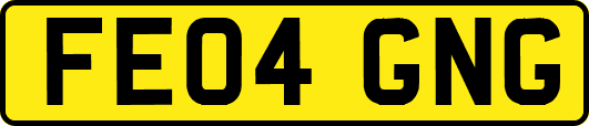 FE04GNG