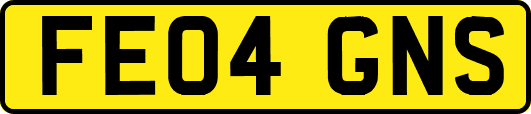 FE04GNS