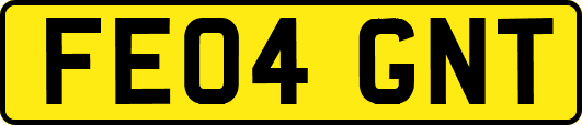 FE04GNT