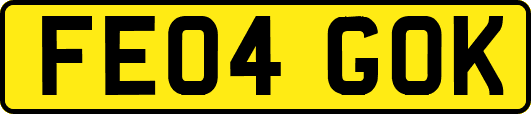 FE04GOK
