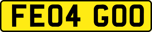 FE04GOO