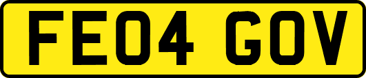 FE04GOV