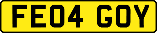 FE04GOY