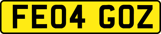 FE04GOZ
