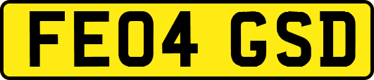 FE04GSD