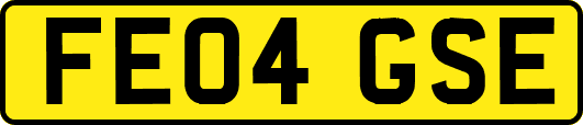 FE04GSE