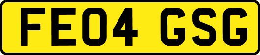 FE04GSG