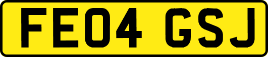 FE04GSJ