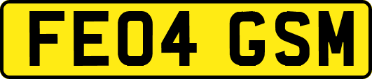FE04GSM