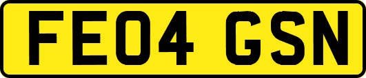 FE04GSN