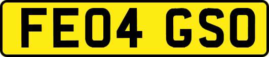 FE04GSO