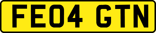 FE04GTN