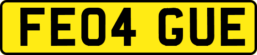 FE04GUE