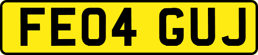 FE04GUJ