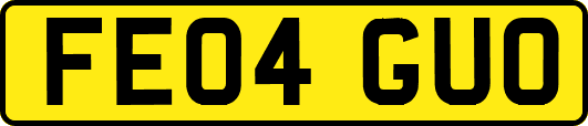 FE04GUO