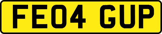 FE04GUP