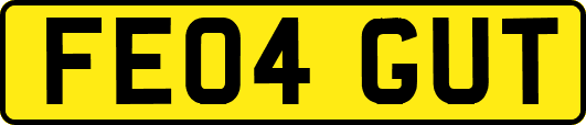 FE04GUT