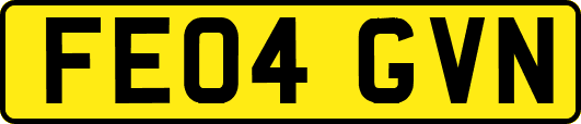 FE04GVN