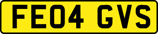 FE04GVS