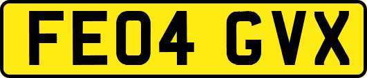 FE04GVX