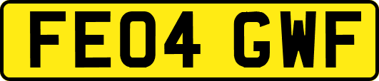 FE04GWF