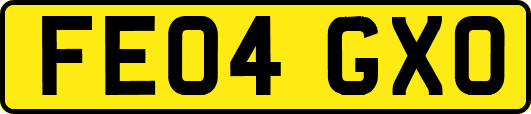 FE04GXO