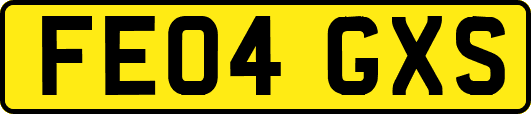 FE04GXS