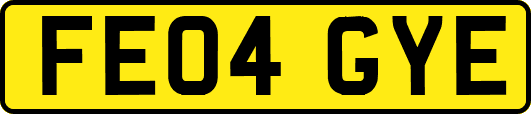 FE04GYE
