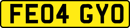FE04GYO